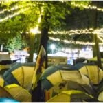 Camping Festival Must-Haves (Beginner Setup)